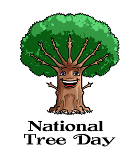 National Tree Day. July 31st Mullumbimby and District Neighbourhood Centre. Plant a tree